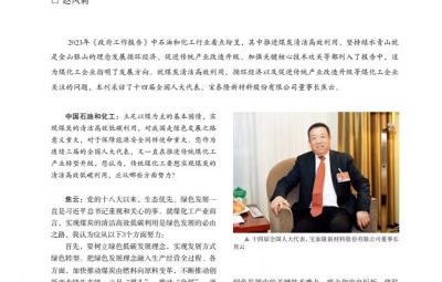 打破傳統(tǒng)走綠色轉(zhuǎn)型之路——訪十四屆全國人大代表、寶泰隆新材料股份有限公司董事長焦云